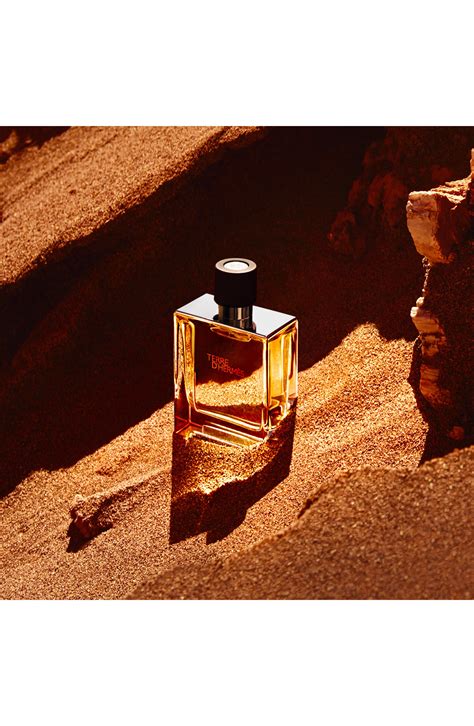 hermes terre david jones